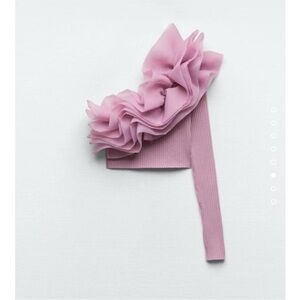 Zara Organza Crop Top